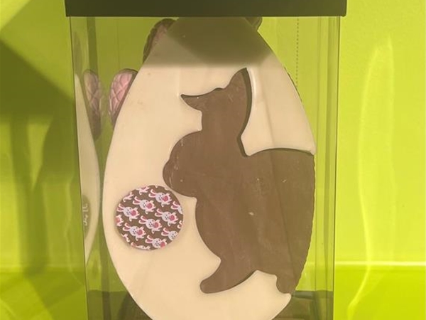 Lief klein konijntje